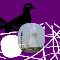 De Apache-duif heeft een eitje in haar nest waarin je een foto van een kerncentrale kan zien.